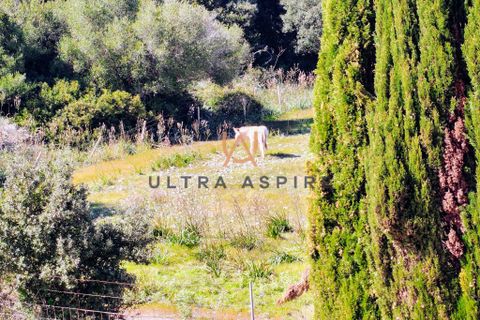 Reihenhaus in Son Servera, Mallorca, Son Servera - € 795.000 | Ref: UA491 - Foto 17